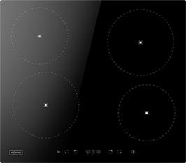 Induktionsfeld Reparatur Jena